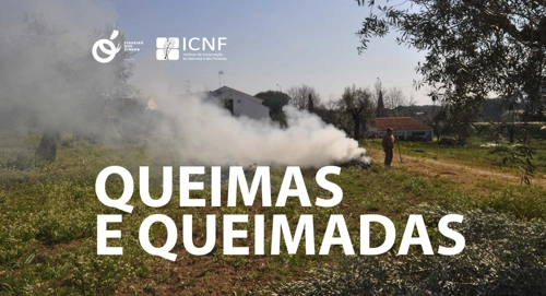 Aberta a época das Queimadas